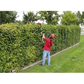 Einhell Power X-Change 18V Cordless Multifunctional Garden Tool & Power X-Change 18V, 4.0Ah Lithium-Ion Battery Twin Charger Starter Kit -- 2 x 4.0Ah Batteries and Twincharger Set