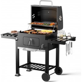 DKIEI Barbecue Grill, Portable Charcoal BBQ Grill with Wheel & 2 Foldi