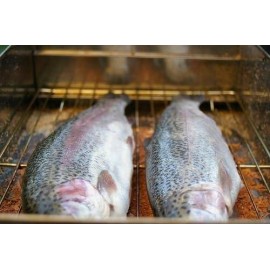 FFT Outdoor Smoker Oven - Outdoor fish Meat Smoker Camping BBQ Fishing