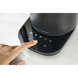 ZWILLING ENFINIGY Pro Kettle with Temperature Setting, Stainless Steel