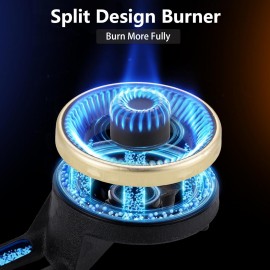 Gas Stove 2 Burner Propane Stove Two Burner Portable Gas Cooktop, Temp