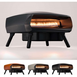 NEW Witt ETNA Fermo Award Winning Pizza Oven - Traditional Pizza Bakin
