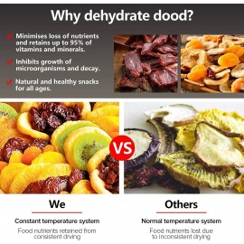 Kwasyo Stainless Steel Food Dehydrator, 6 Tray Fruit Dryer Machine wit