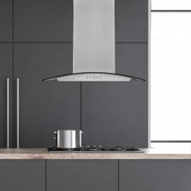 Hauslane | Chef Series IS-200 30 Modern Island Range Hood | Contempora