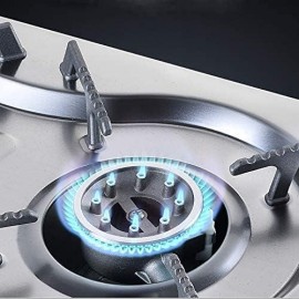 Double Burner Camping Stove - Portable Butane Gas Cooker with Case and