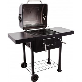 Char-Broil 140724 2600 - Performance Charcoal Barbecue Gill, Black, Me