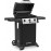 Broil King 814154 Gem™ 320 Liquid Propane Grill