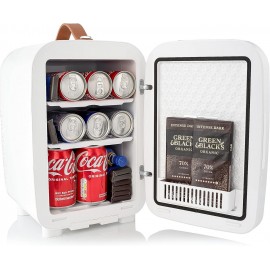 Pro10 Luxury Mini Fridge Cooler | Compact 10L Portable Small Fridge 12