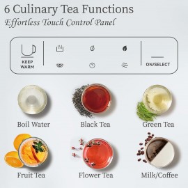 Electric Tea Kettle with Infuser and Warmer, YOKEKON Small Glass Tea M