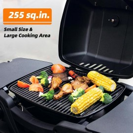 Gas Grill Portable Propane Grill, Tabletop Grill Propane, 24,000 BTU O