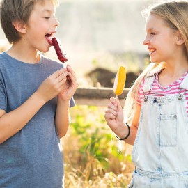 Ice Lolly Moulds 2Pcs, 4 Cavities Oval Lollipop Moulds, Non-Stick Cake
